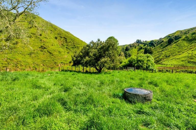 Photo of property in 123 Prospect Road, Whangamomona, Stratford, 4396