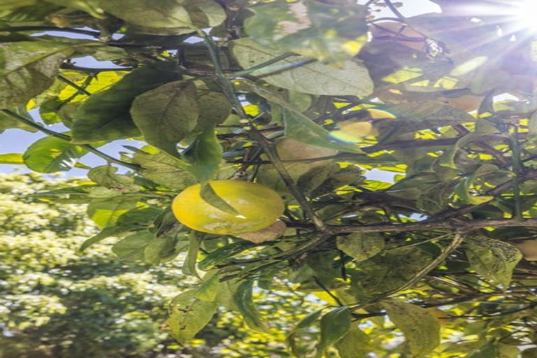 Photo of property in 10 Hiropi Street, Newtown, Wellington, 6021