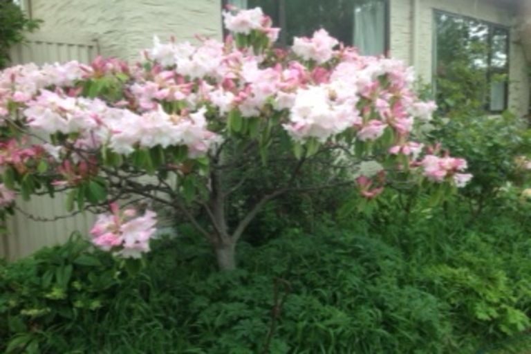 Photo of property in 13 Shannon Street, Alexandra, 9320