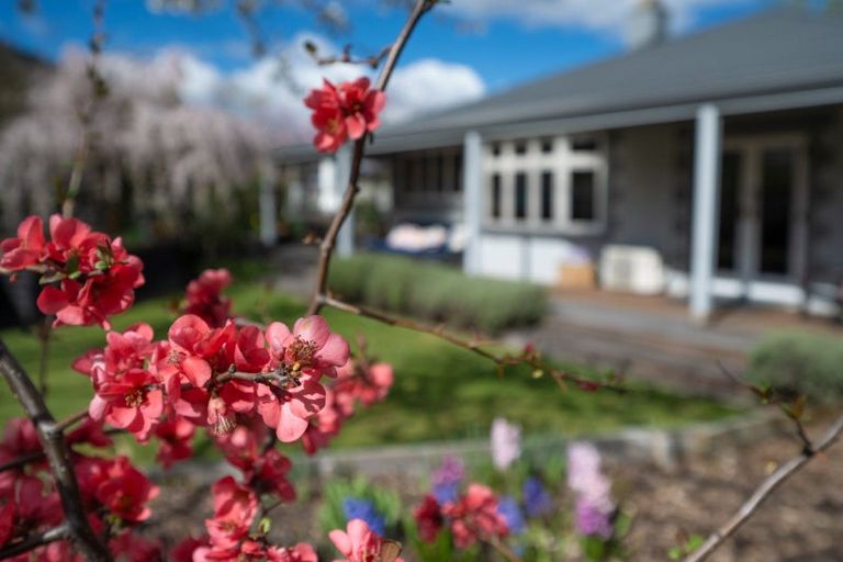 Photo of property in 29 Hazlett Street, Clyde, 9330