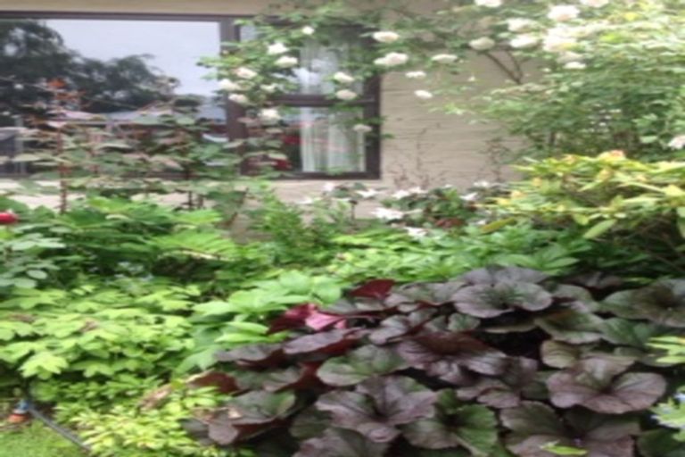 Photo of property in 13 Shannon Street, Alexandra, 9320