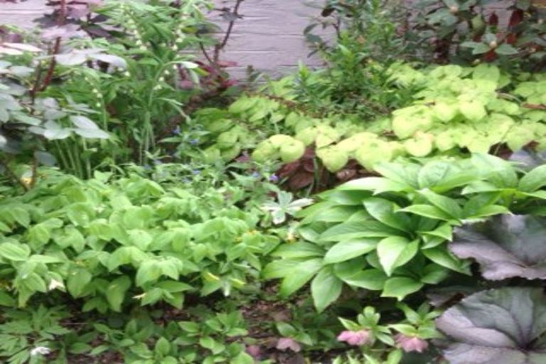 Photo of property in 13 Shannon Street, Alexandra, 9320