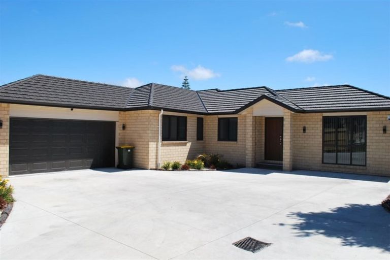 Photo of property in 50b Pinedale Place, Henderson, Auckland, 0610