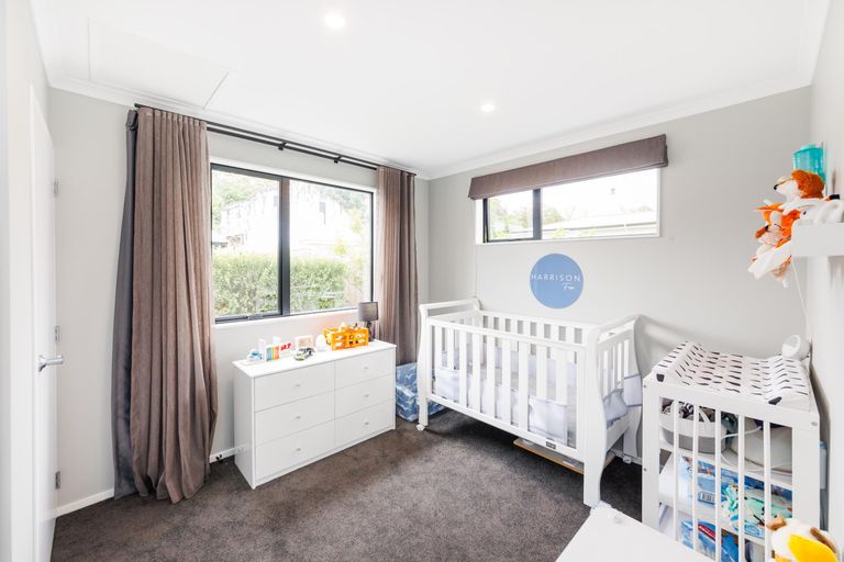 Photo of property in 30a Alfred Street, Roslyn, Palmerston North, 4414