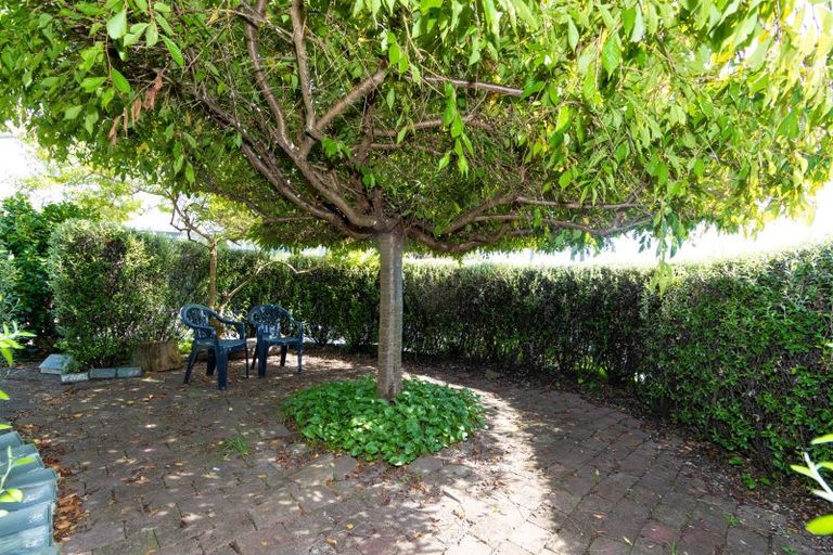 Photo of property in 37 Barnard Avenue, Maraenui, Napier, 4110