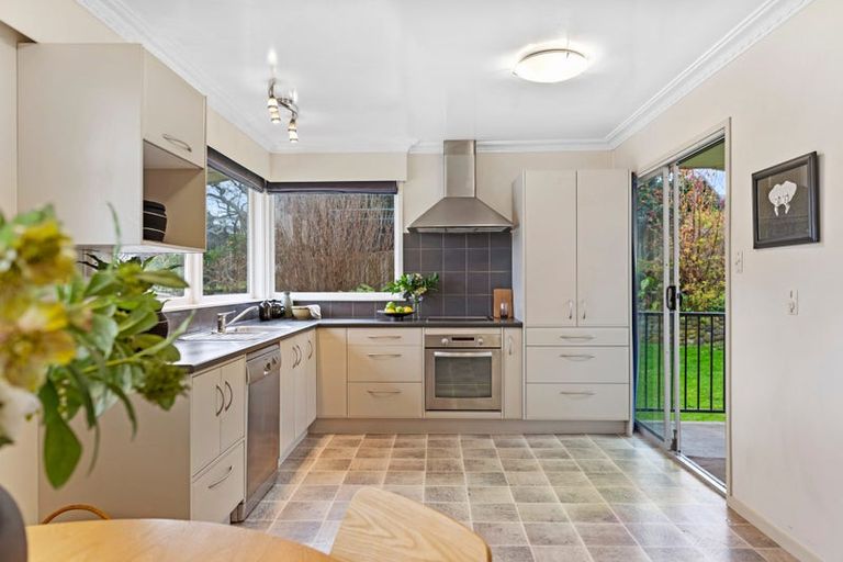 Photo of property in 19 Regent Street, Brookfield, Tauranga, 3110