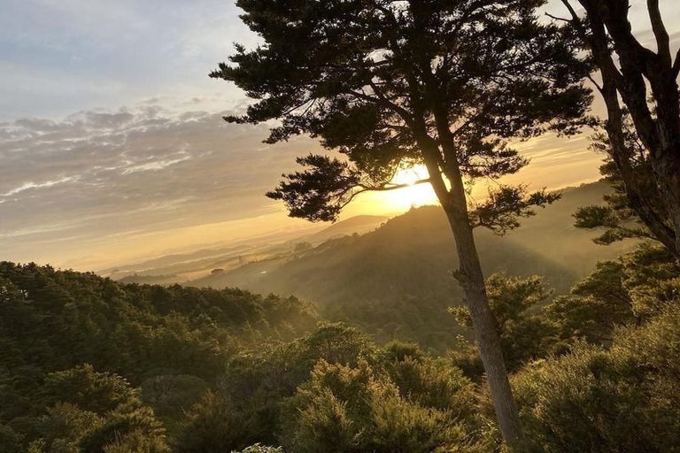 Photo of property in 677 Ngunguru Ford Road, Kiripaka, Whangarei, 0173