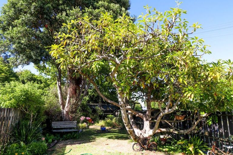 Photo of property in 112 Baillie Street, Thames, 3500