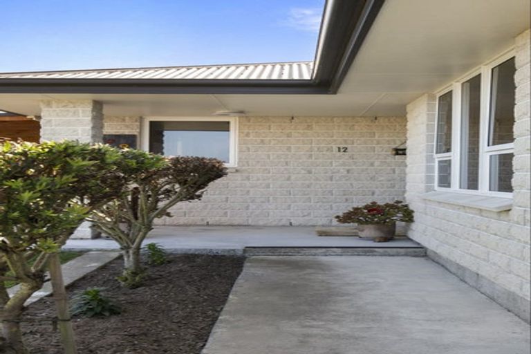 Photo of property in 12 Malthus Place, Foxton Beach, Foxton, 4815