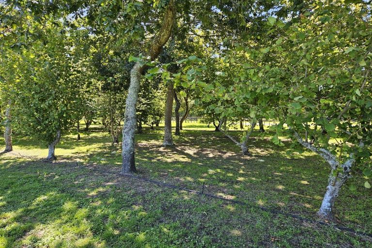 Photo of property in 298 Maungarangi Road, Paengaroa, Te Puke, 3189