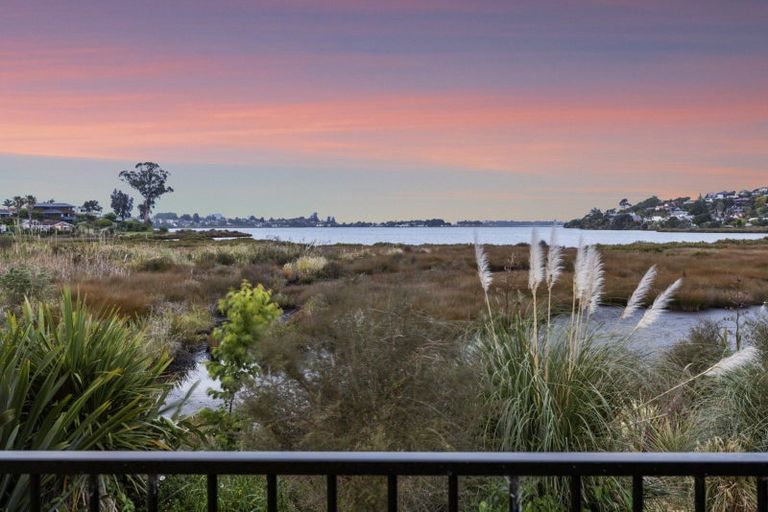 Photo of property in 31 Hinaki Street, Poike, Tauranga, 3112