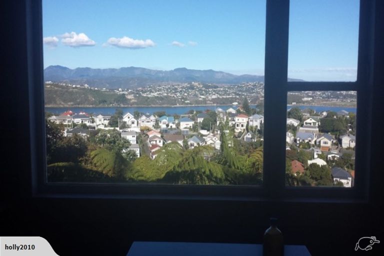 Photo of property in 93 Rakau Road, Hataitai, Wellington, 6021