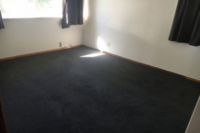 Photo of property in 25 Bellmont Avenue, Chartwell, Hamilton, 3210