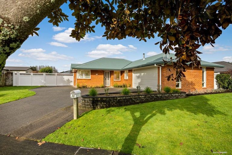 Photo of property in 36 Stoneleigh Drive, Chartwell, Hamilton, 3210