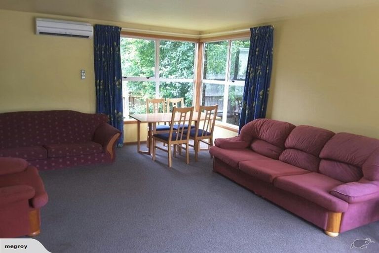 Photo of property in 39a Malvern Street, Woodhaugh, Dunedin, 9010