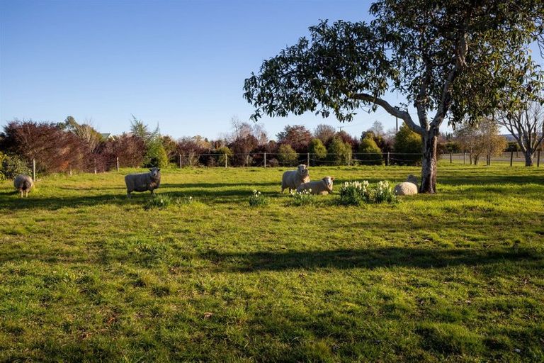 Photo of property in 111 Bartlett Road, Hope, Richmond, 7081