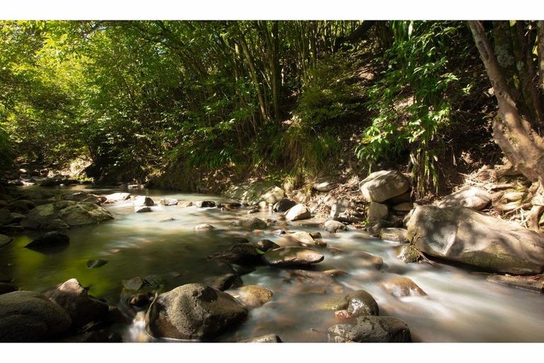 Photo of property in 110 Bowen Place, Thames, 3500