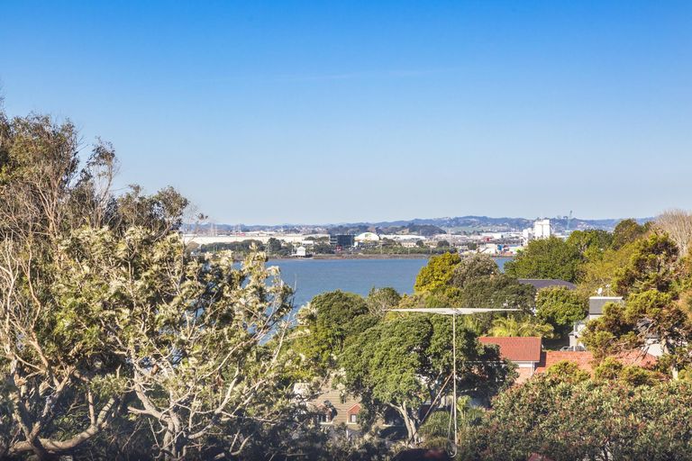 Photo of property in 30 Hoskins Avenue, Hillsborough, Auckland, 1042