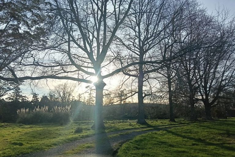 Photo of property in 1215 Dairy Flat Highway, Dairy Flat, Albany, 0794