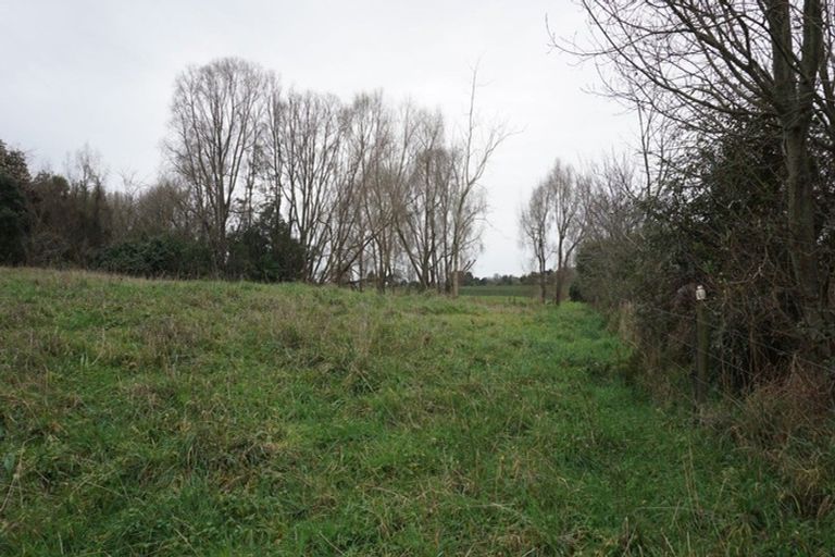 Photo of property in 25 Heatherlea Road East, Levin, 5571