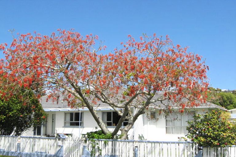 Photo of property in 31 Anglia Street, Wakatu, Nelson, 7011