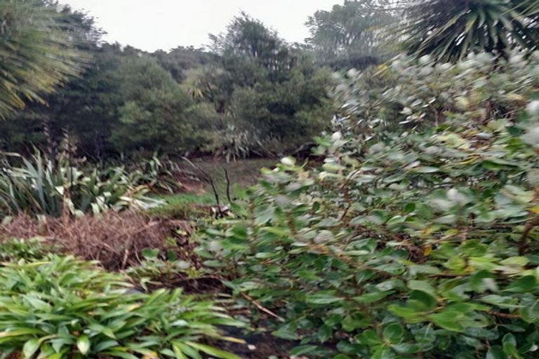 Photo of property in 46 Sherrybrooke Place, Sunnyvale, Auckland, 0612