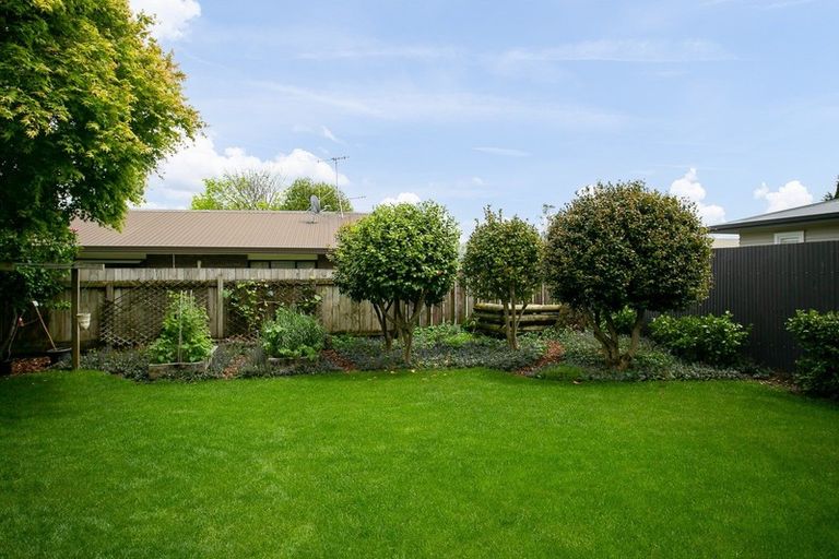 Photo of property in 77c Grey Street, Cambridge, 3434