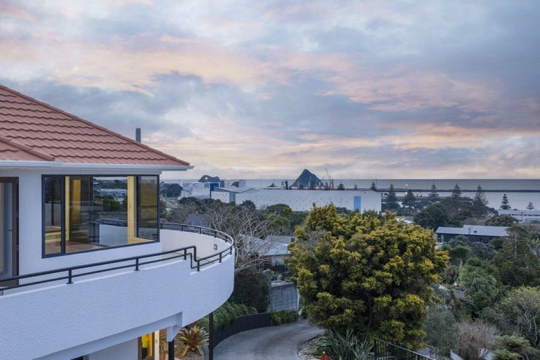 Photo of property in 23 Peace Avenue, Moturoa, New Plymouth, 4310