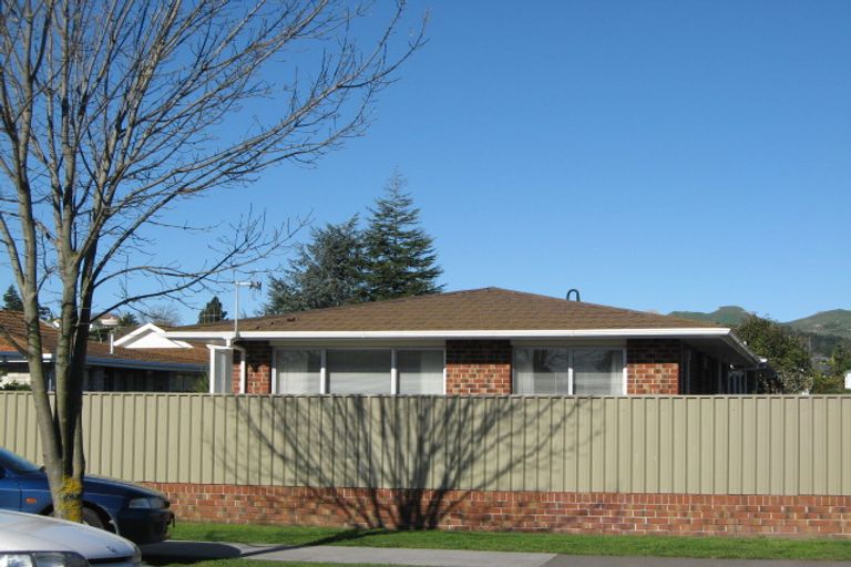 Photo of property in 1/33 Middle Road, Havelock North, 4130