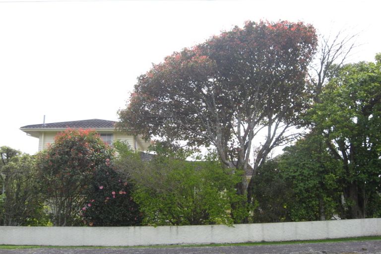 Photo of property in 270 Frankley Road, Ferndale, New Plymouth, 4310