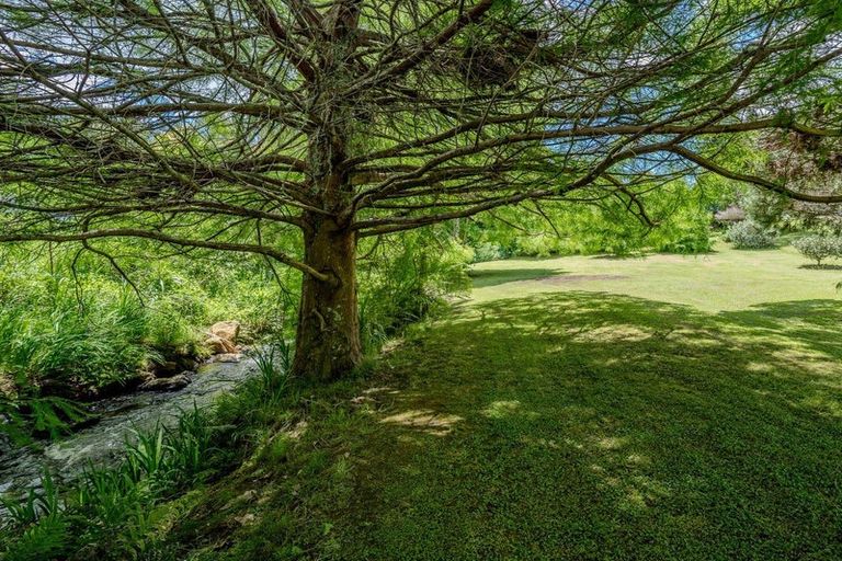 Photo of property in 16 Limelight Lane, Kerikeri, 0230