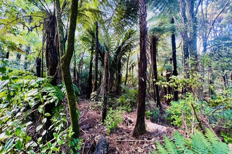 Photo of property in 600 Buffalo Road, Coromandel, 3506