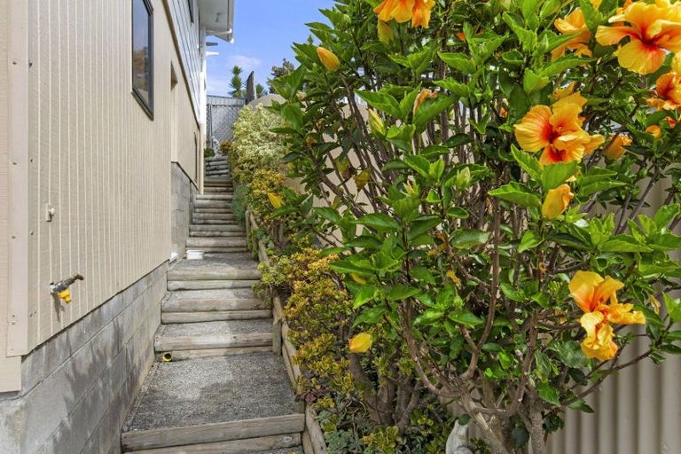 Photo of property in 51 Wallis Street, Raglan, 3225