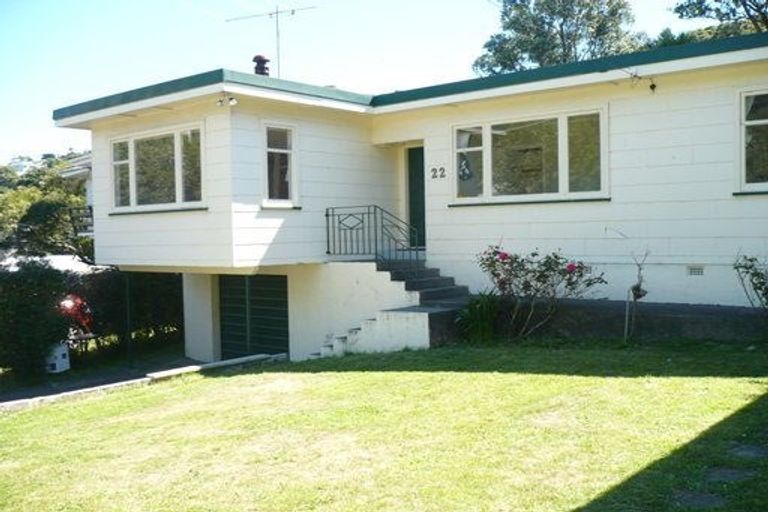 Photo of property in 22 Liardet Street, Vogeltown, Wellington, 6021