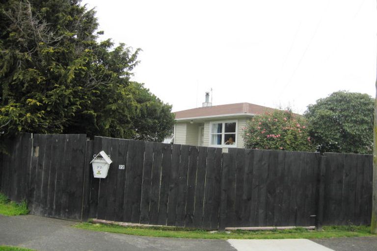 Photo of property in 22 Norfolk Street, Levin, 5510