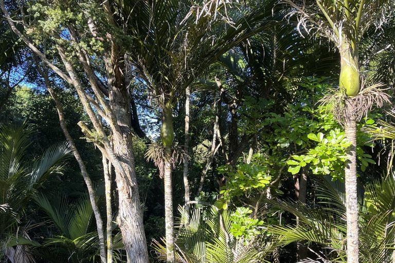 Photo of property in 3/8 Park Hill Road, Birkenhead, Auckland, 0626