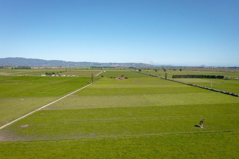 Photo of property in 346 Te Tumu Road, Paengaroa, Te Puke, 3189