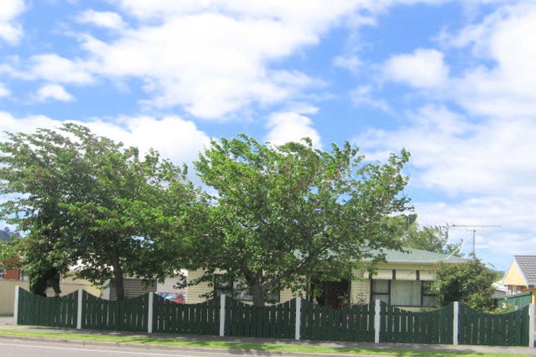 Photo of property in 78 Kenny Street, Waihi, 3610