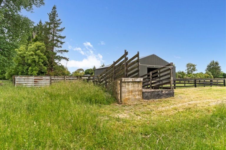 Photo of property in 87 Willow Park Drive, Opaki, Masterton, 5871