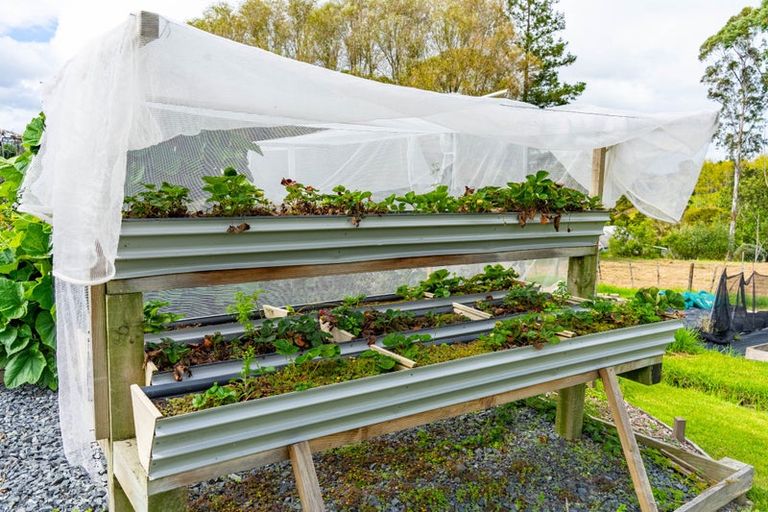 Photo of property in 2239b State Highway 12, Paparoa, 0571