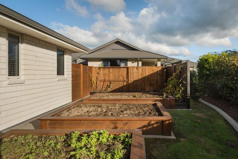 Photo of property in 15 Layla Place, Katikati, 3178