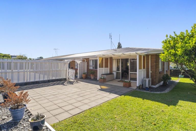 Photo of property in 11b Balmoral Terrace, Otumoetai, Tauranga, 3110