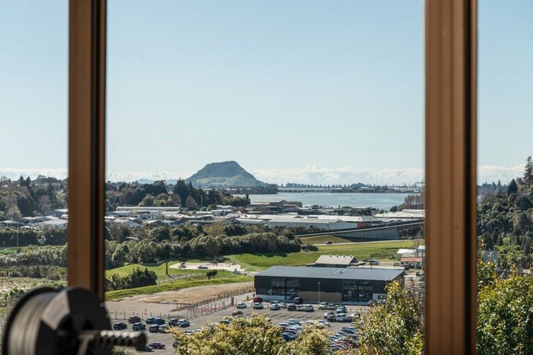 Photo of property in 2/19 Clarke Street, Gate Pa, Tauranga, 3112