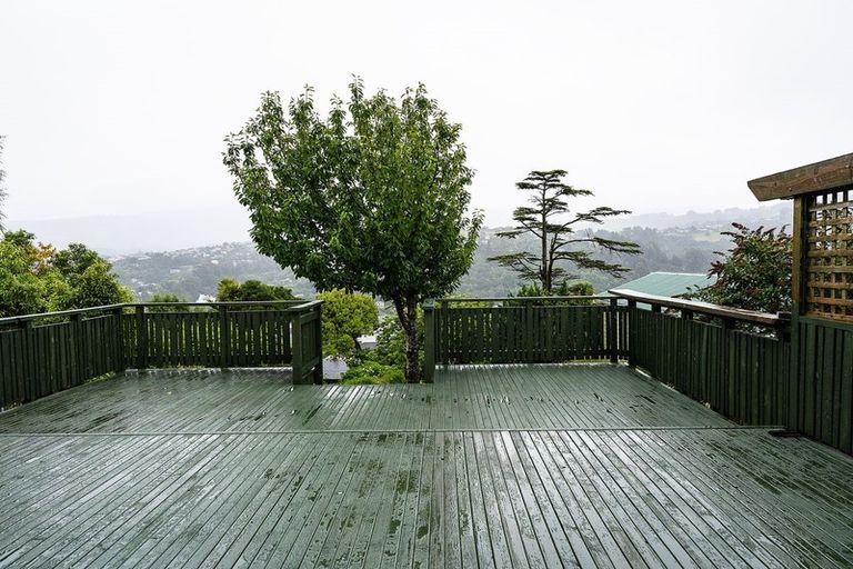 Photo of property in 39 Signal Hill Road, Opoho, Dunedin, 9010