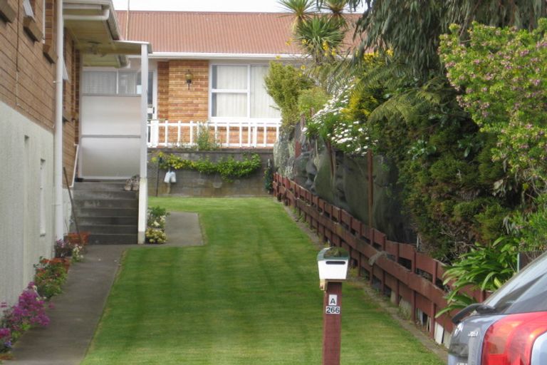 Photo of property in 268a Courtenay Street, Strandon, New Plymouth, 4312