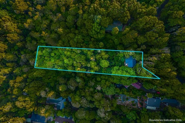 Photo of property in 23 Kauri Loop Road, Oratia, Auckland, 0604