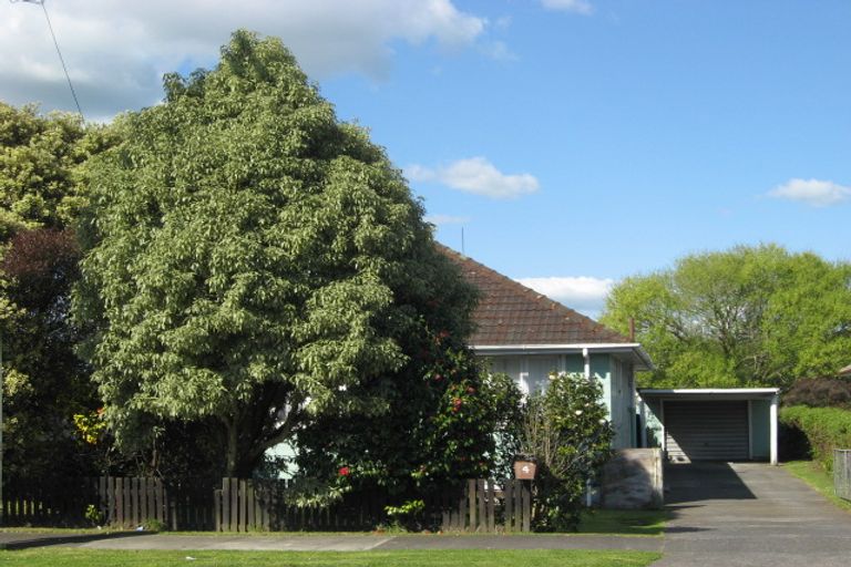 Photo of property in 4 Harris Street, Huntly, 3700