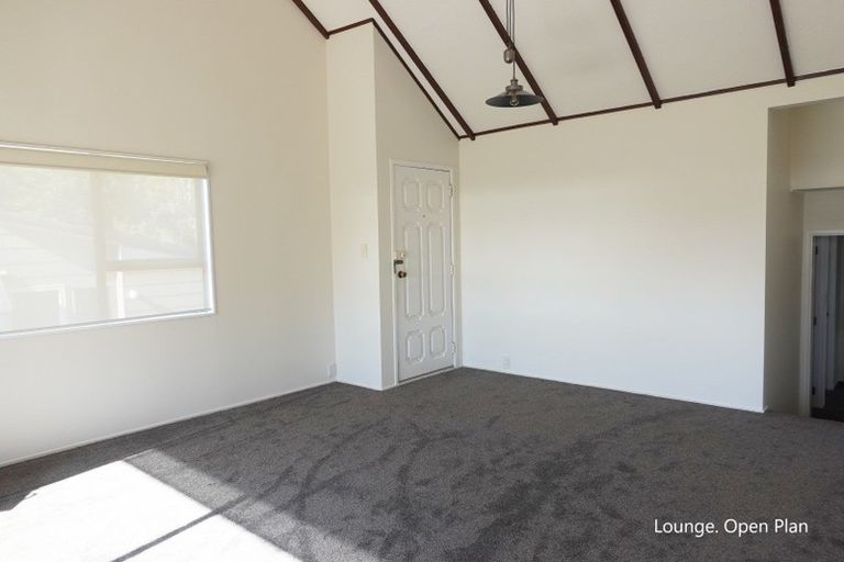 Photo of property in 1/163 Balmain Road, Birkenhead, Auckland, 0626