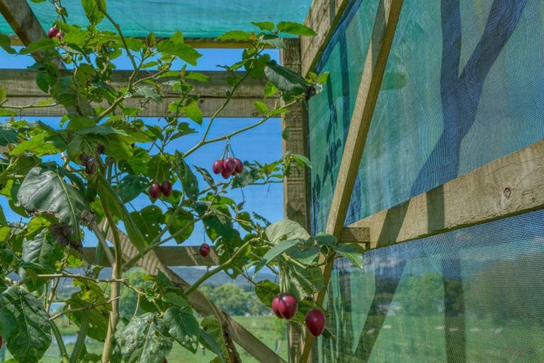 Photo of property in 59 Back Creek Road, Ruatapu, Hokitika, 7883