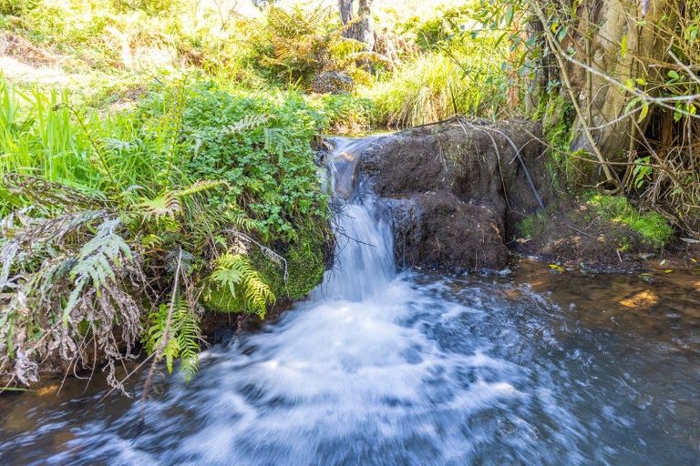 Photo of property in 183 Te Tahi Road, Puketotara, Te Awamutu, 3876